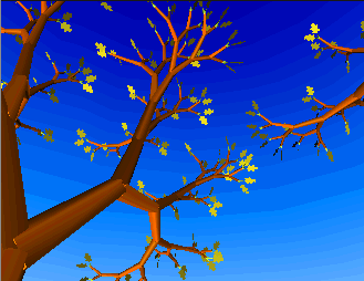 Autu,mnal oak
