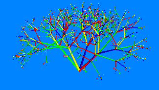 Rainbow tree