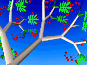 Rowan tree