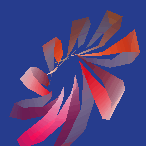 nine petal star