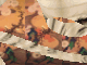 Chrysanthemums by stream with rocks - Click here to go back to Thumbnails page 1